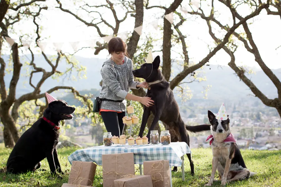 pet photoshoot as Wedding Gifst Idea