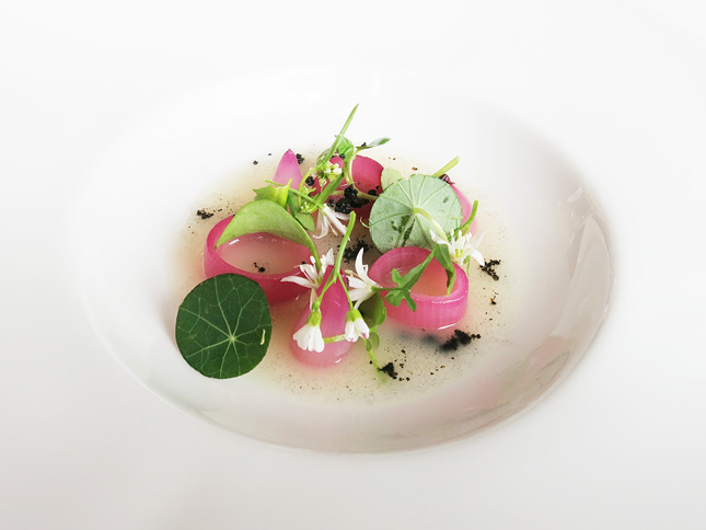 Seasonal 5-Course Dinner with the Best Available Ingredients