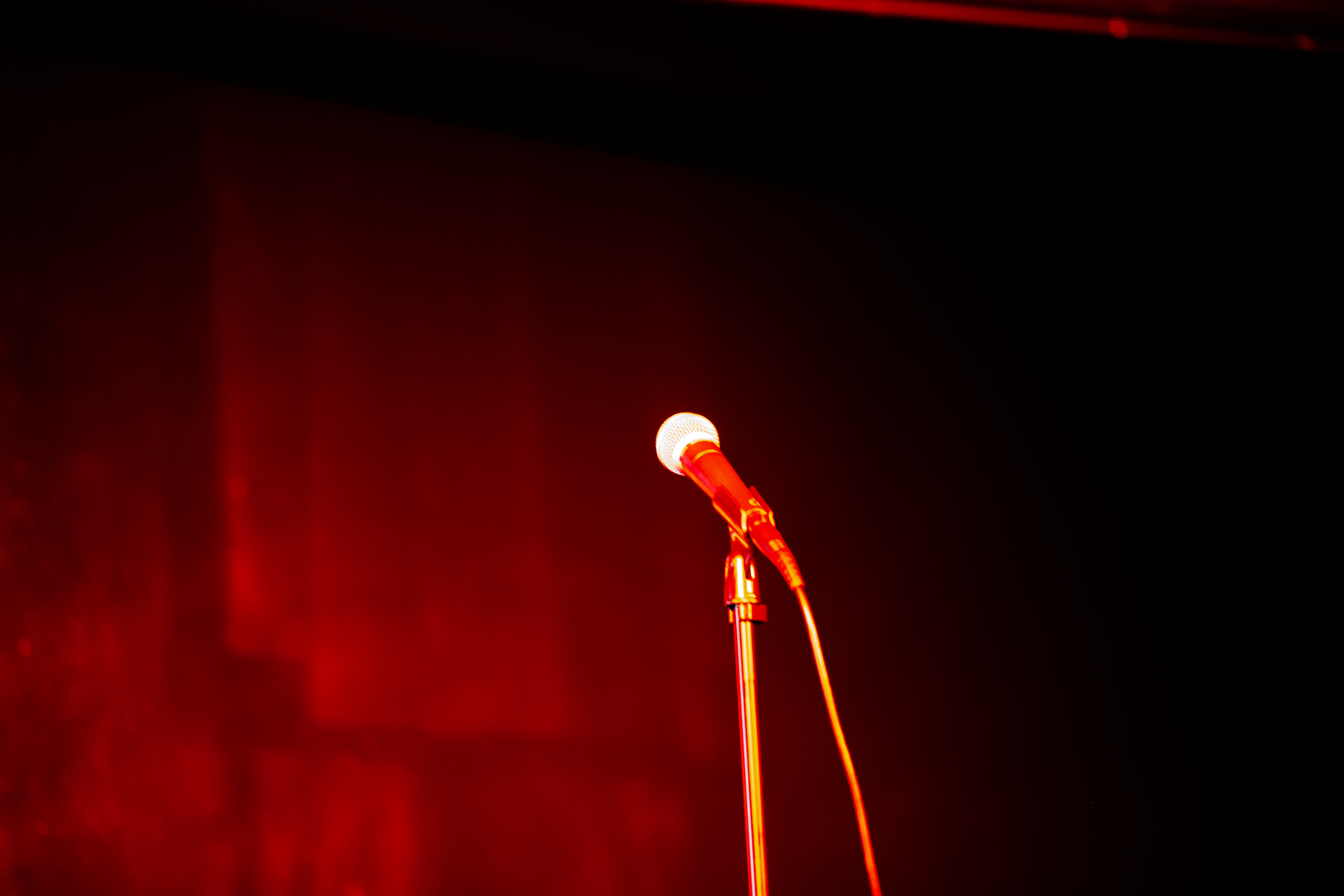 Professional Karaoke Party Experience