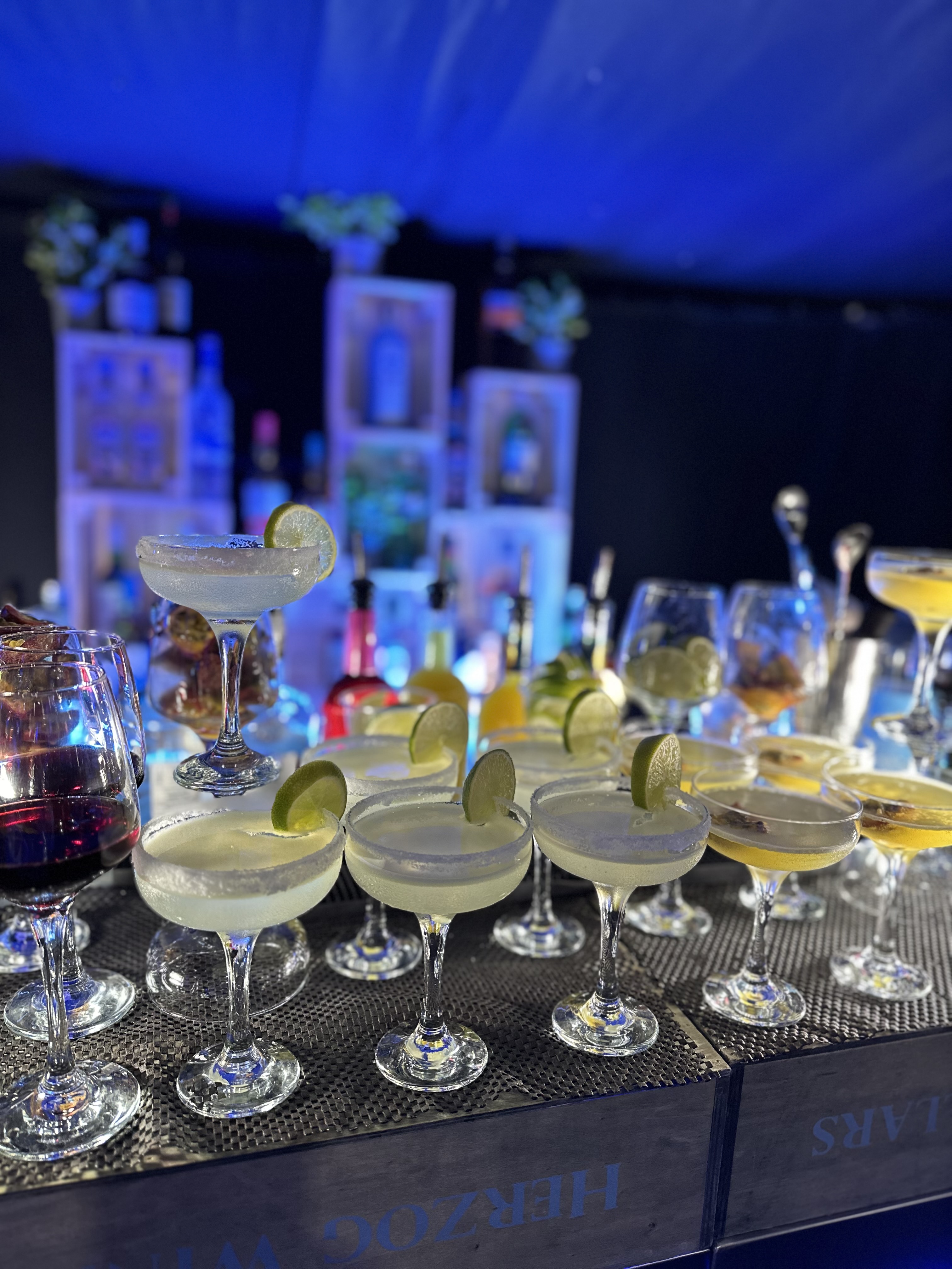 Professional Bartenders Providing Amazing Cocktails