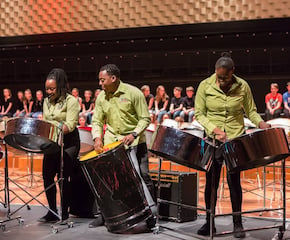 Unleash the Caribbean Vibes with Steelband Trio