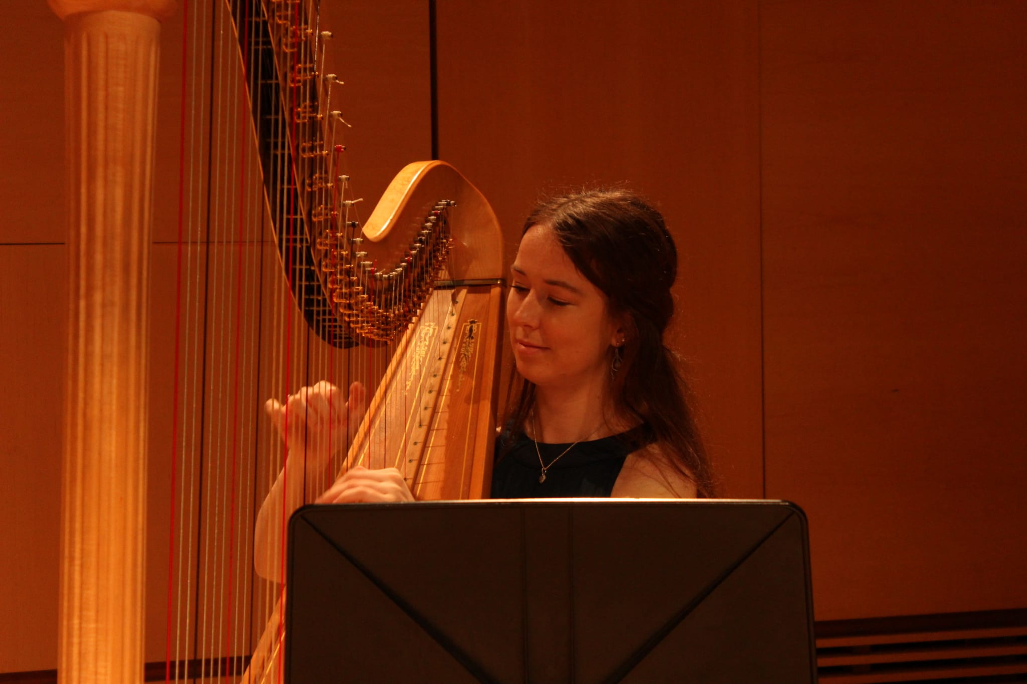 Jess Hughes Heavenly Harp Music For Any Occassion