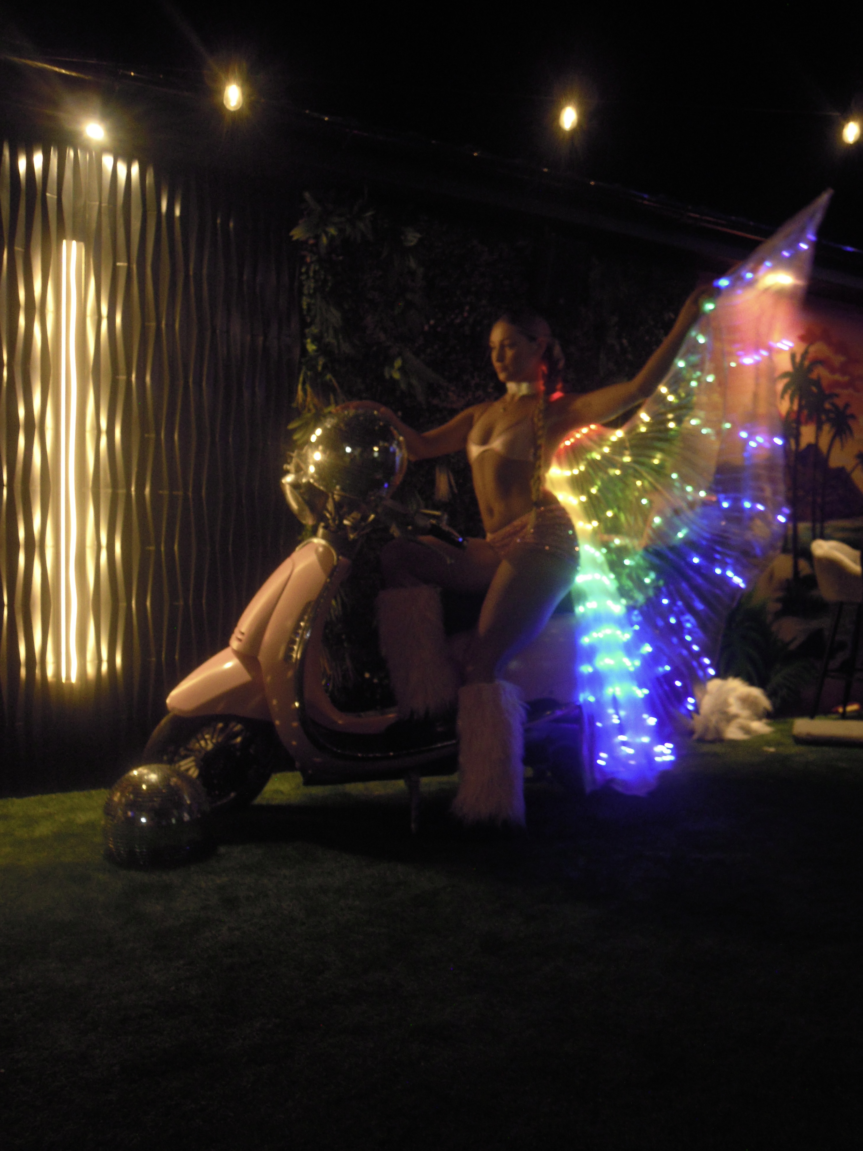 LED Light Wing Dancers ✨
