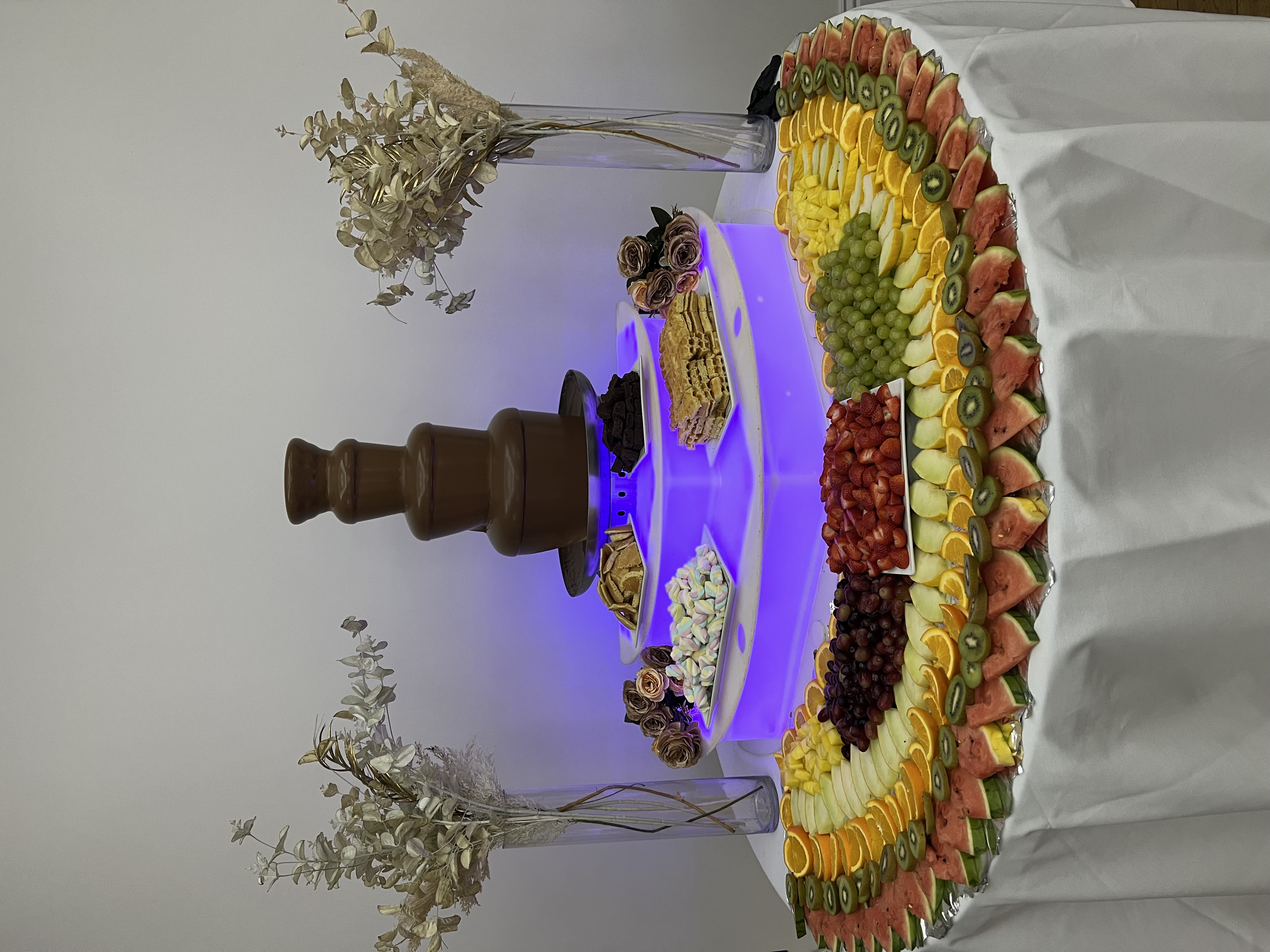 Chocolate Fountain with Fruit Display