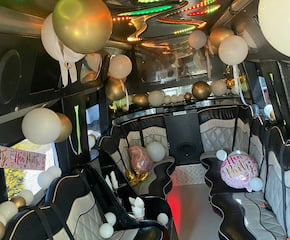 Arrive with Style in Luxury Style Silver Party Bus