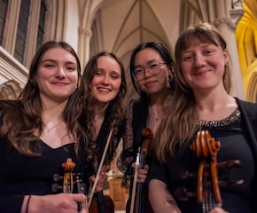 Elegant String Quartet 'Lyra Strings'