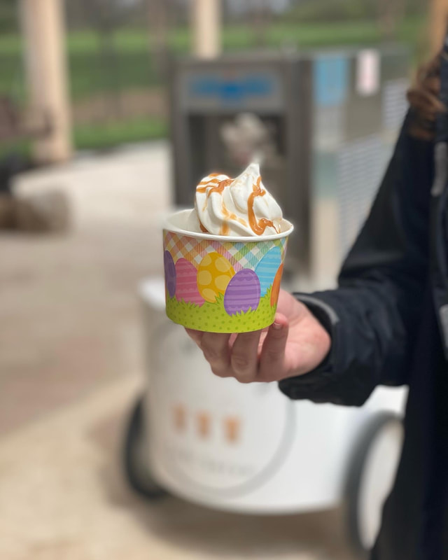 Luxury Soft Serve Ice Cream Cart