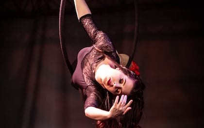 Exciting Aerial Hoop Performances for that Special Touch to Your Event