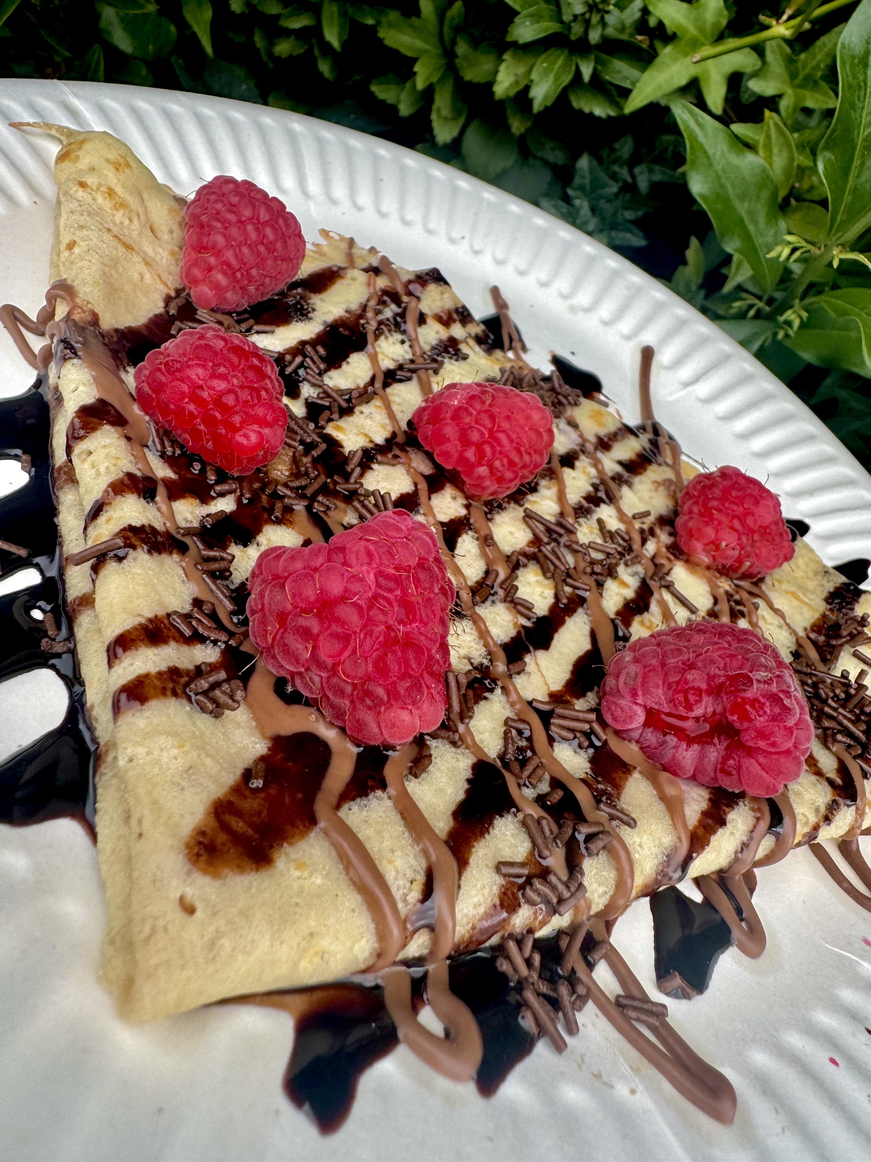 A beautifully plated crepe drizzled with chocolate and topped with fresh raspberries, set against lush green foliage, exudes decadence.