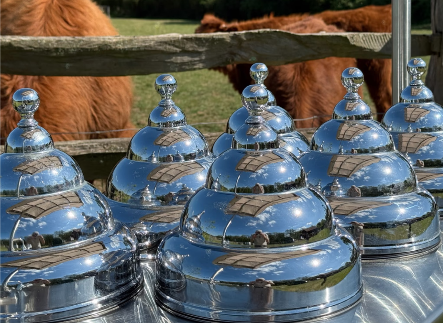 Premium Gelato & Sorbet Cart For a Memorable Experience
