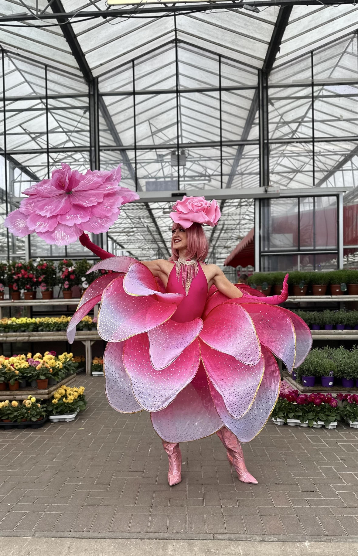 Solo Rose Walk-About Dancer In Colour Of Your Choice