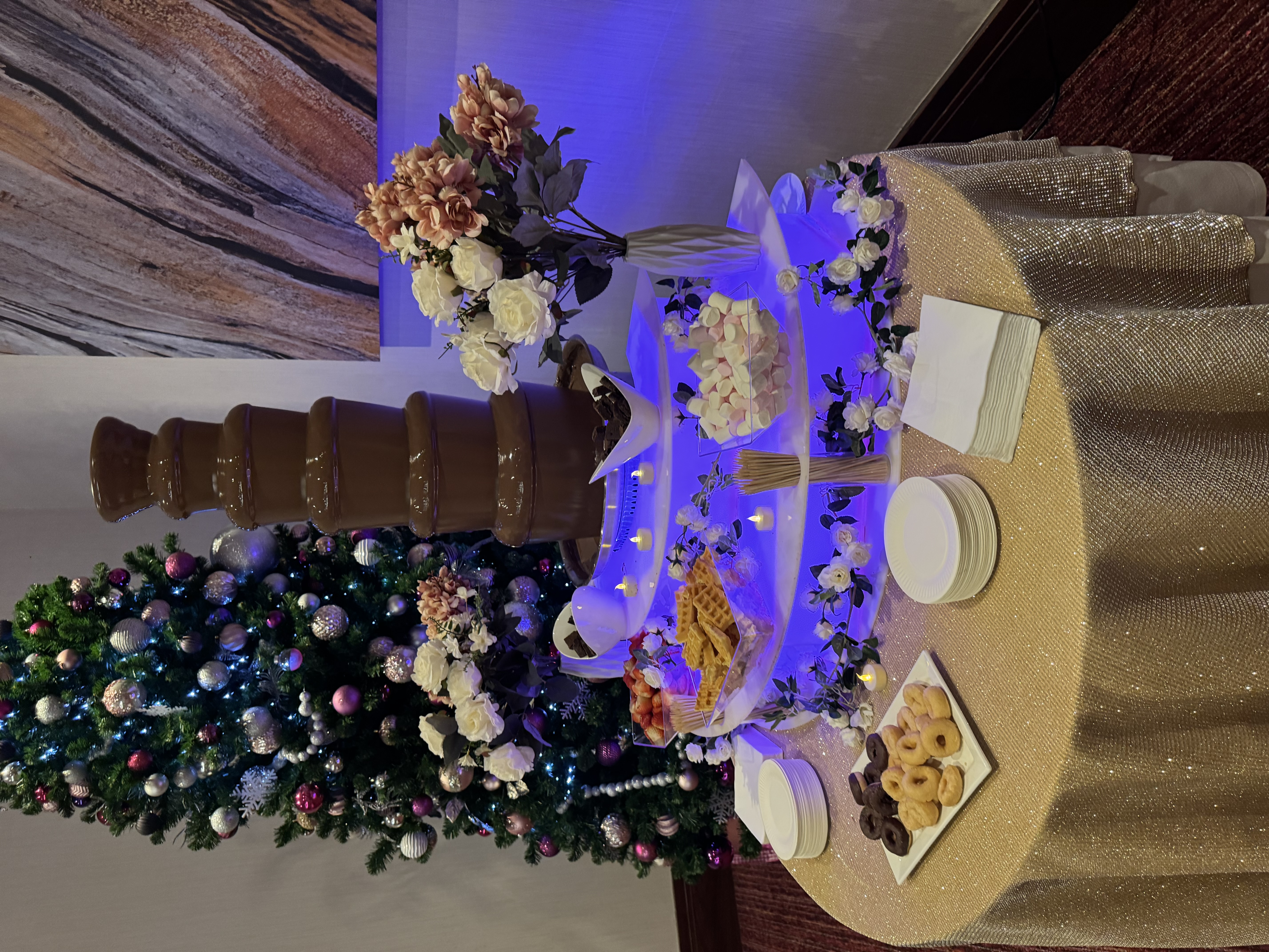 Ultimate Chocolate Fountain with Variety of Dips