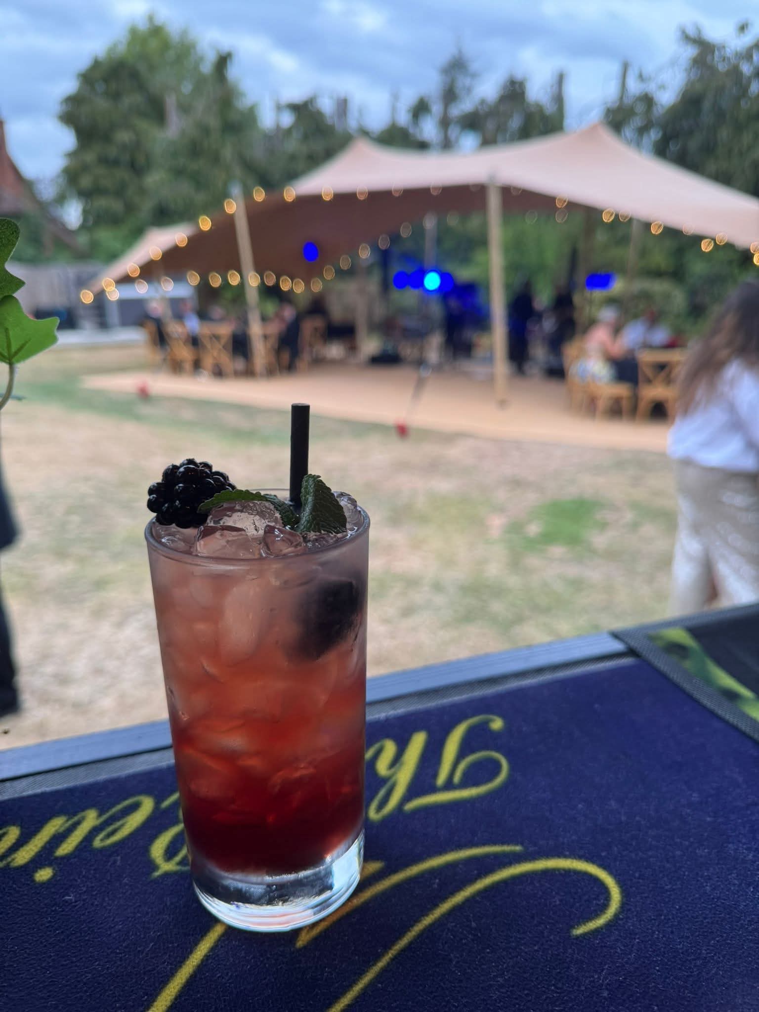 Converted Horsebox Bar For Any Event
