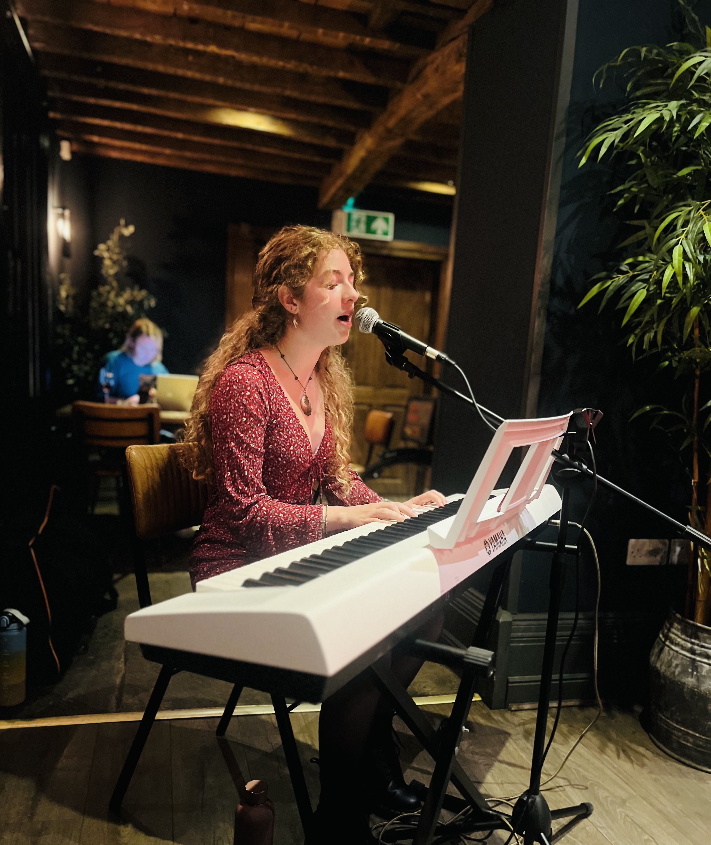 Singer Songwriter Pianist Freya