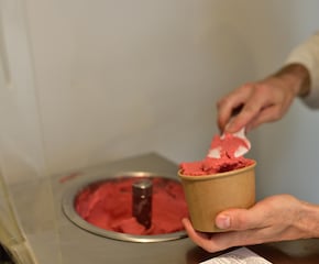 Italian Gelato & Sorbet Workshop with Ice-Cream for Everyone