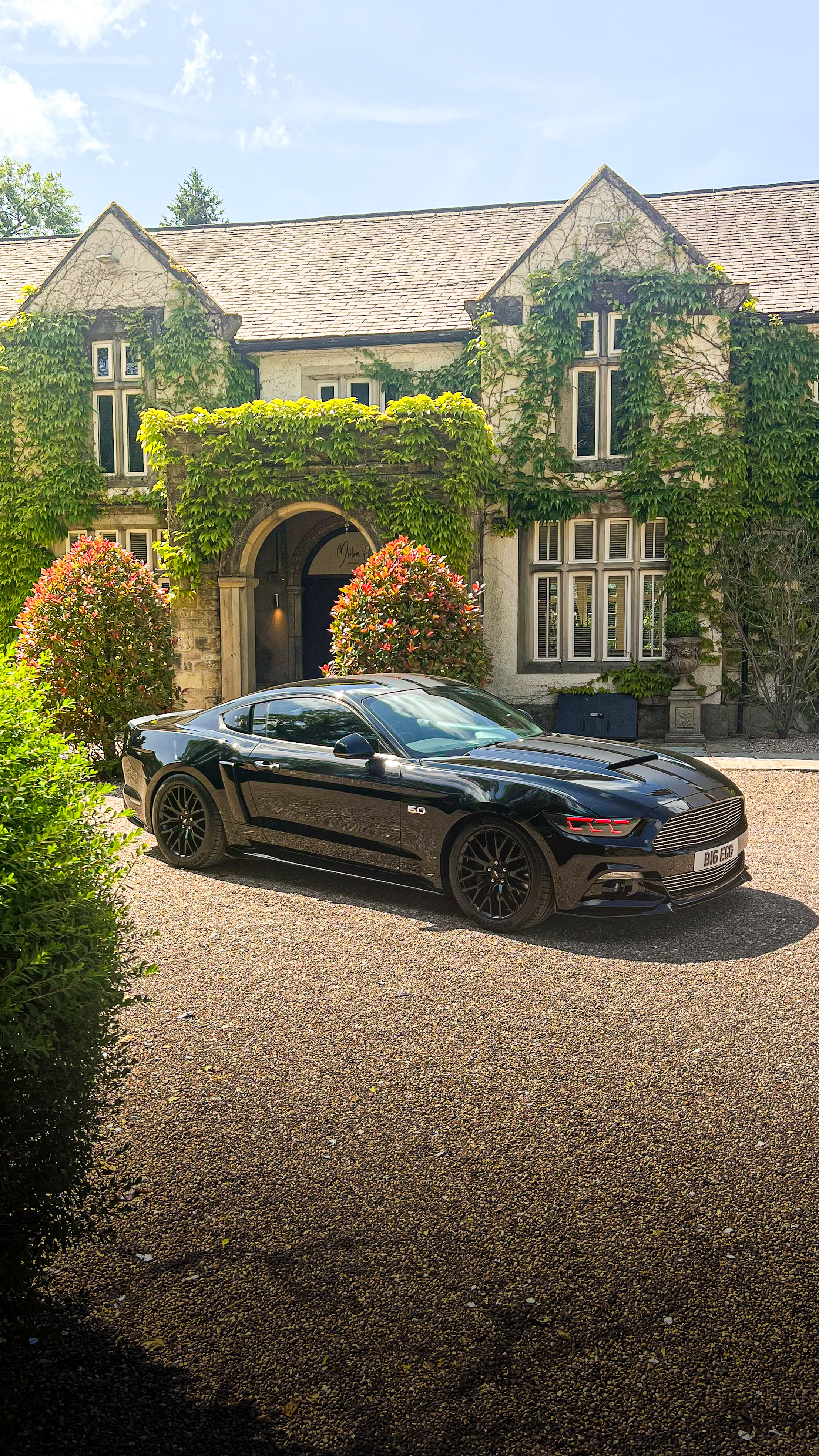 Limited Edition Mustang GT500 Roush Stage 3