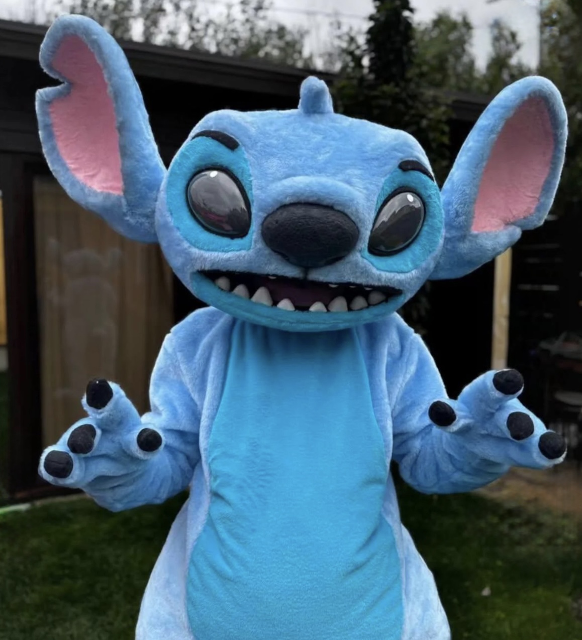 Mascot Madness That Kids Will Love