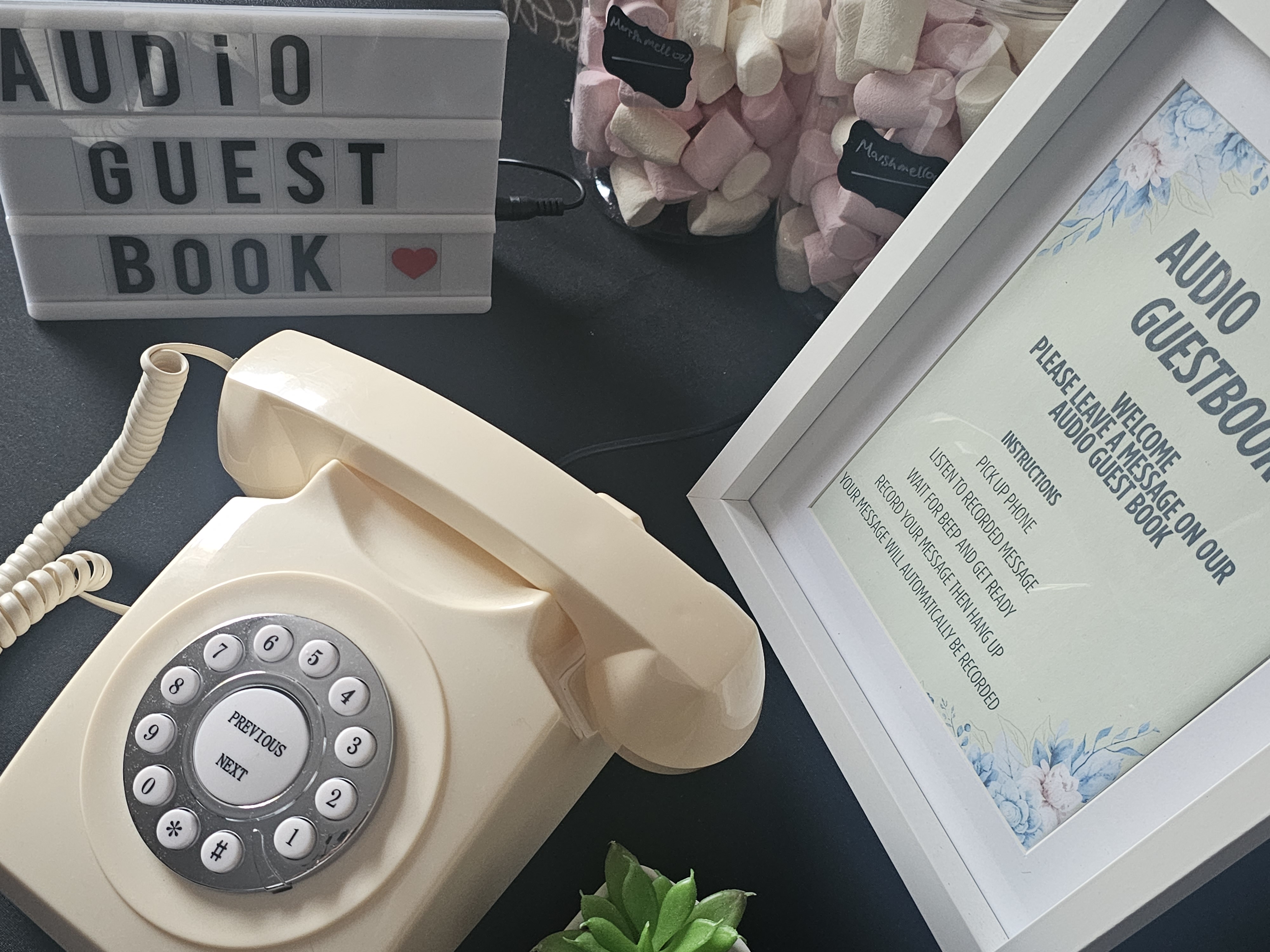 Audio Guest Book For Memories To Last A Lifetime