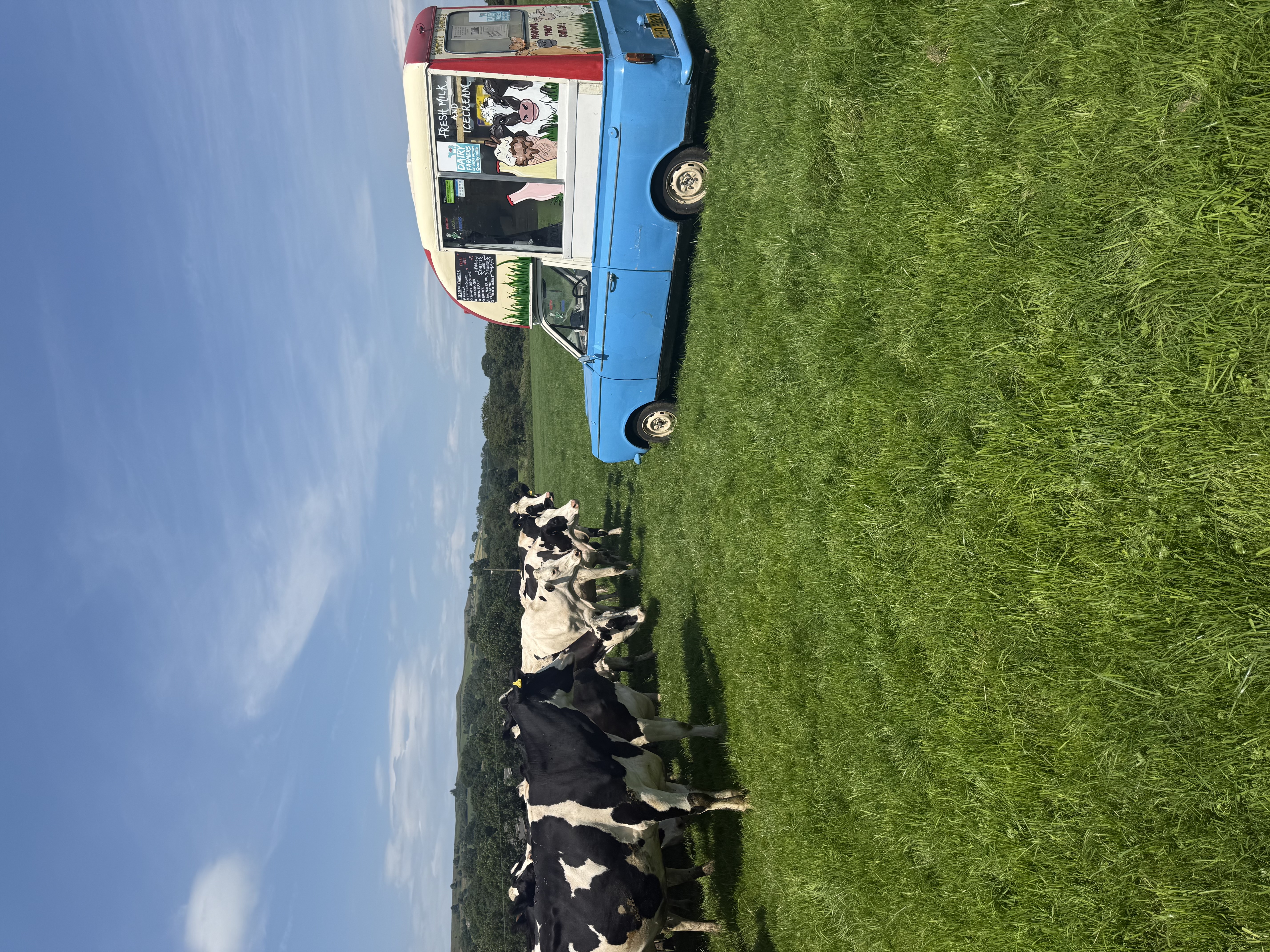 A vintage blue ice cream van stands amidst lush green grass, with curious cows nearby under a bright blue sky, creating a charming rural scene.