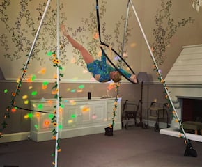 Breathtaking Aerial Experience customised to your event