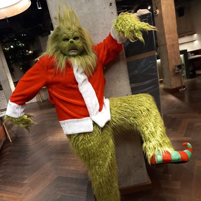 The Grinch Tribute For Your Event