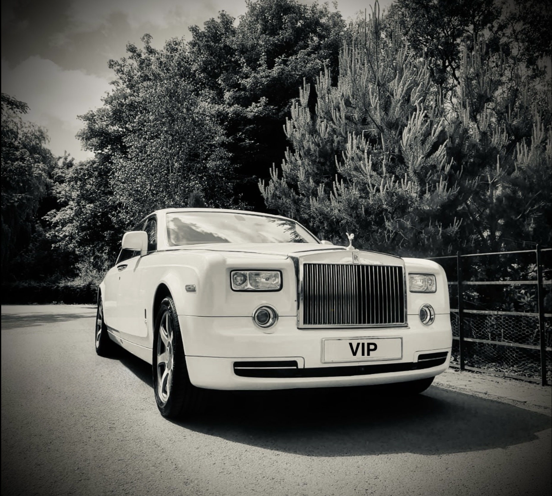 Rolls Royce Phantom Pearl White