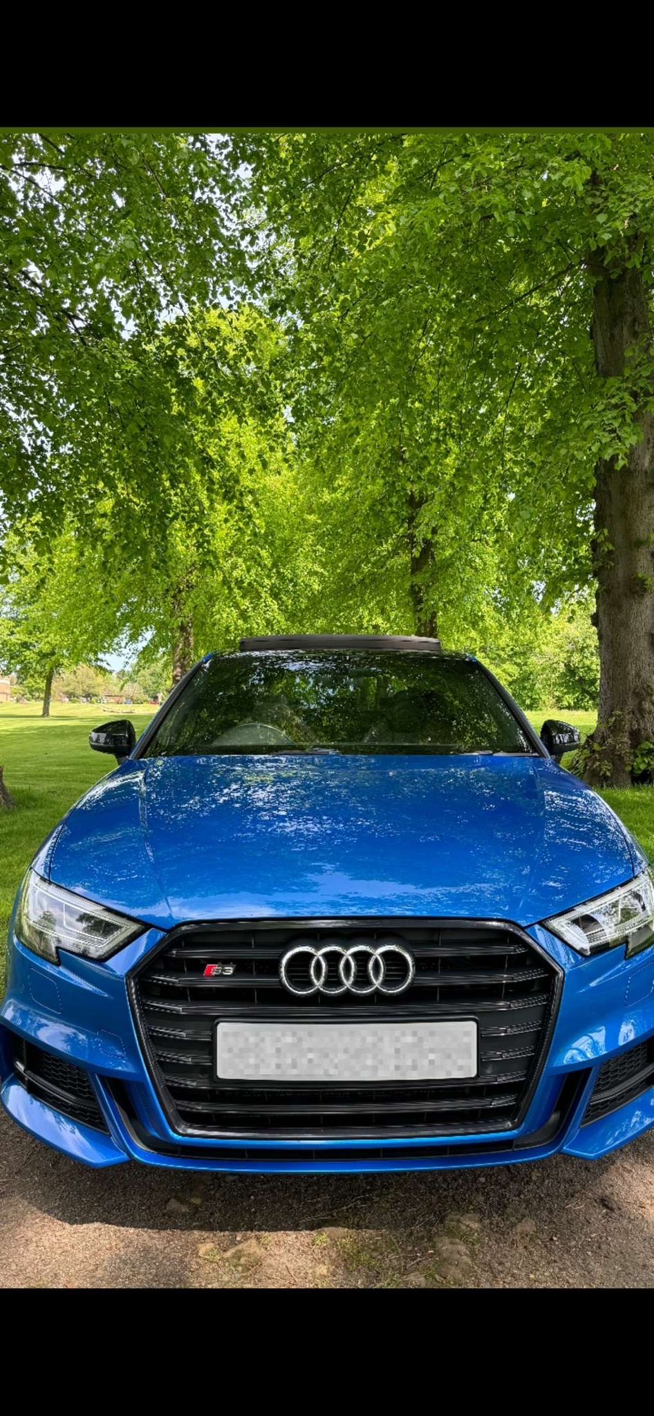 A vibrant blue Audi S3 is parked under lush green trees, showcasing its sleek design and polished finish amidst bright daylight.