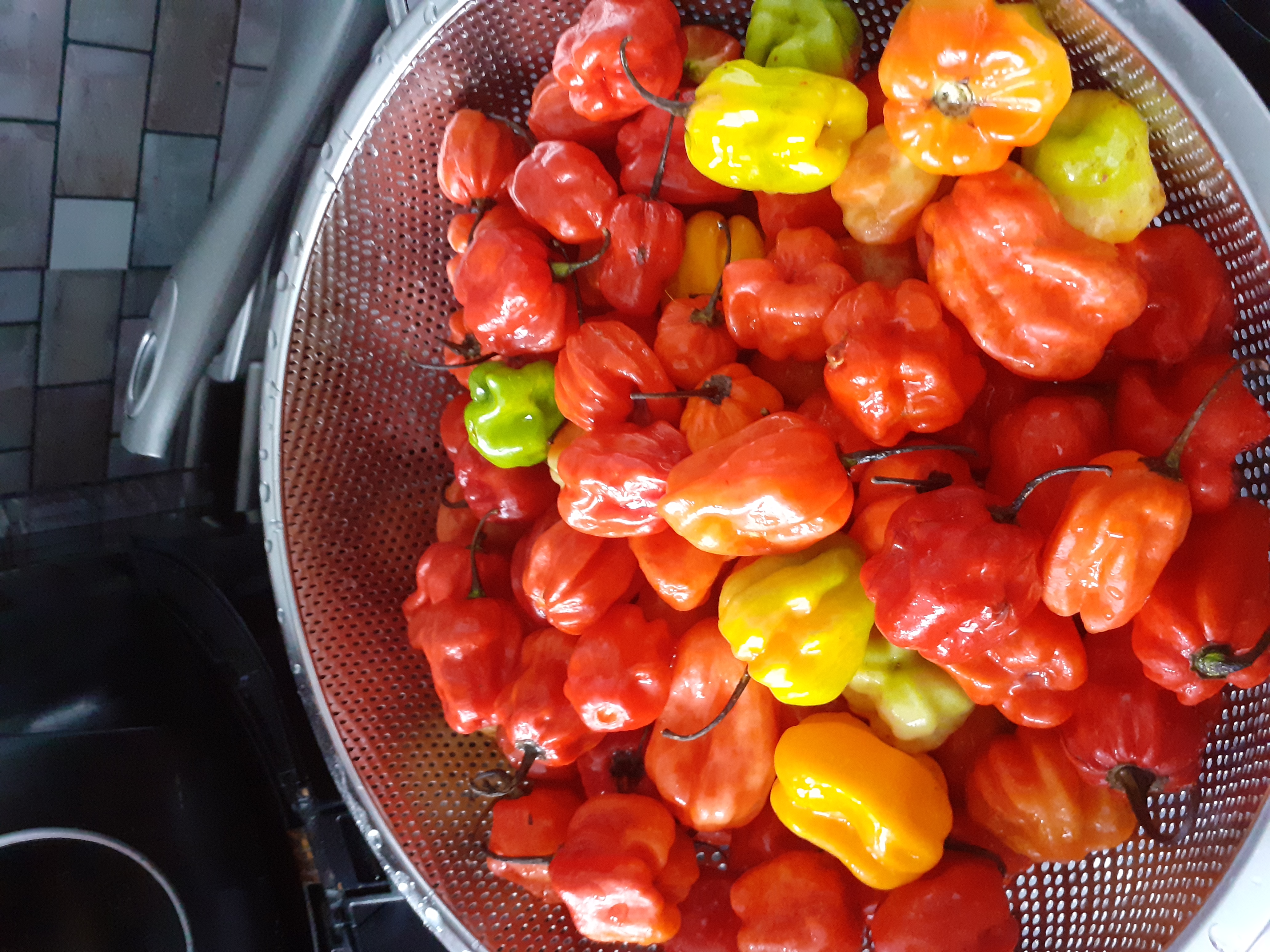 Traditional Caribbean BBQ Done Properly with Pimento Wood & Charcoal