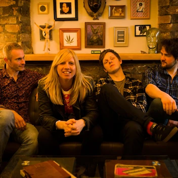 The Country Rocks Band