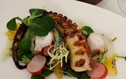 3-Course Experience with Octopus, Monkfish & Cheesecake