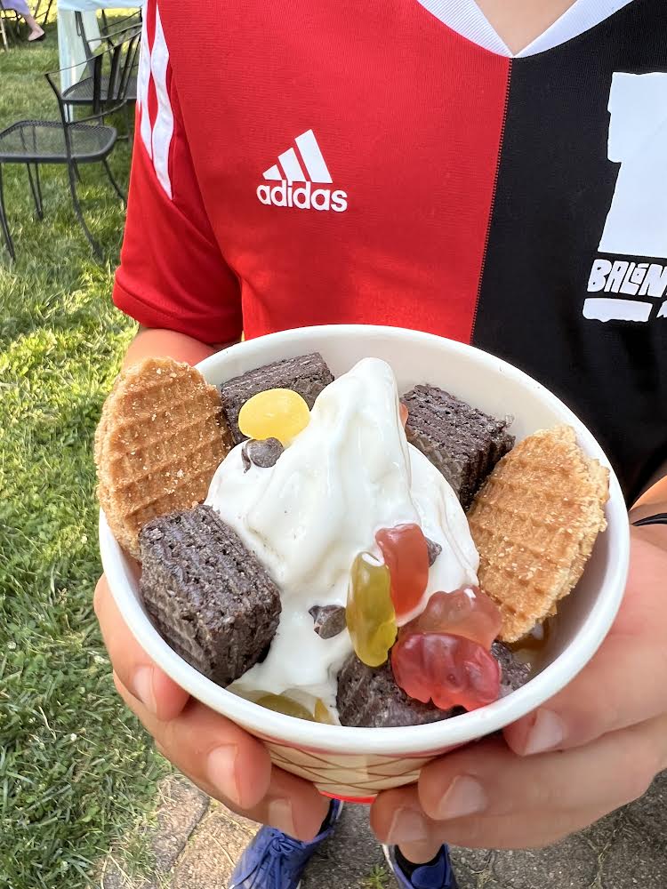 Luxury Soft Serve Ice Cream Cart