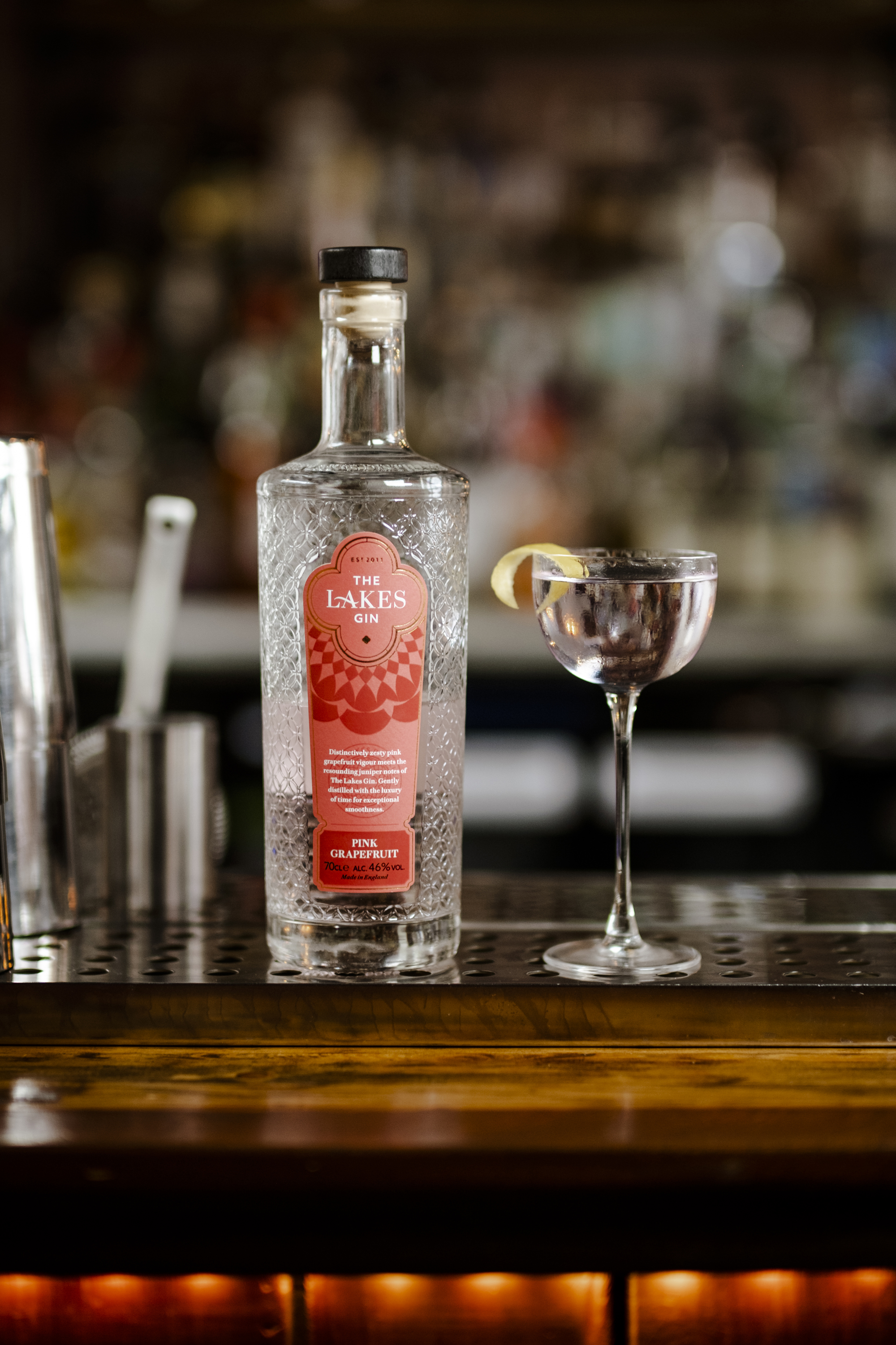 Martini Cocktail Masterclass 🍸