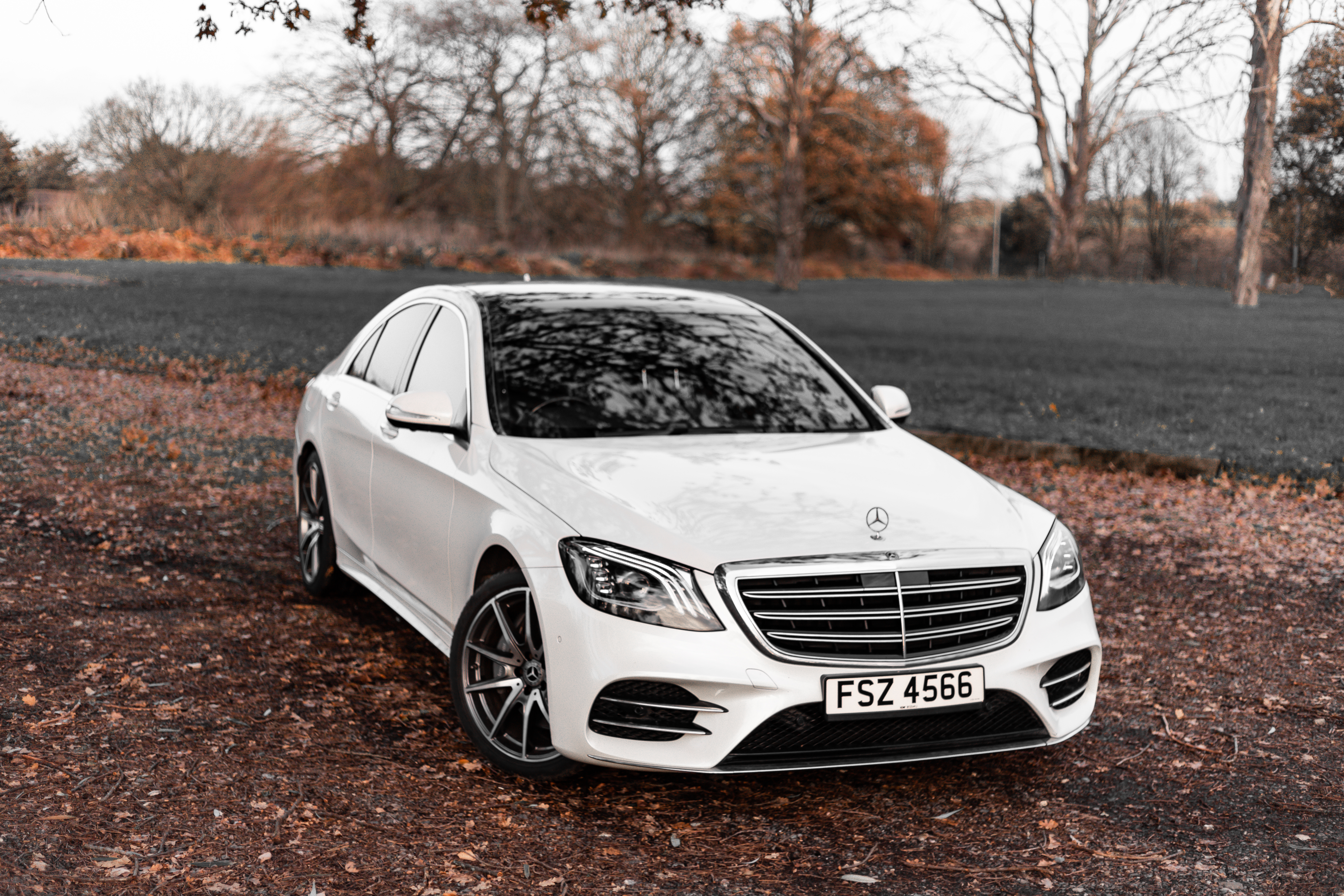 A sleek white Mercedes S-Class stands prominently on a carpet of autumn leaves, surrounded by trees, exuding luxury and elegance in nature.