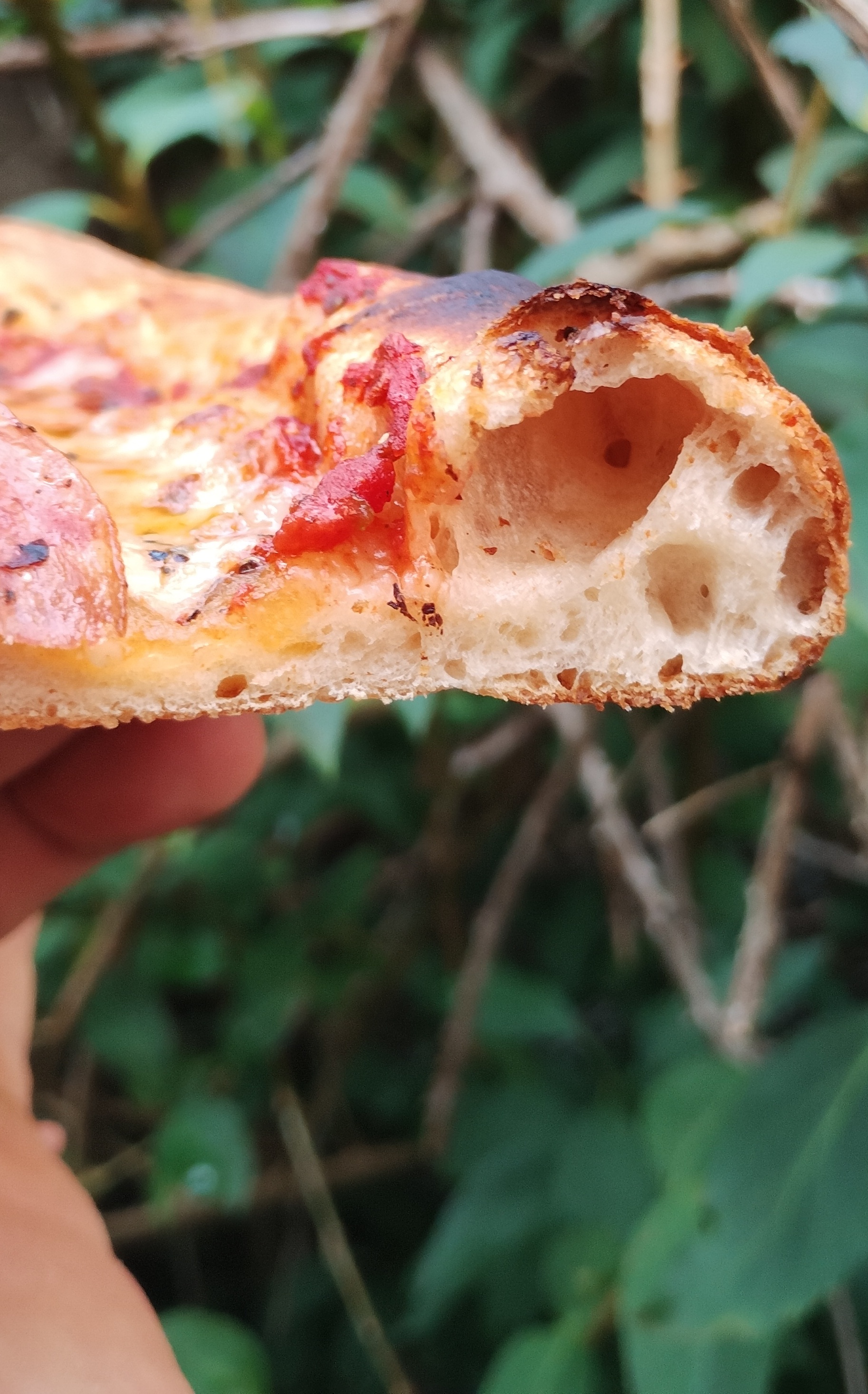 Artisan Stone Baked Sourdough Pizza