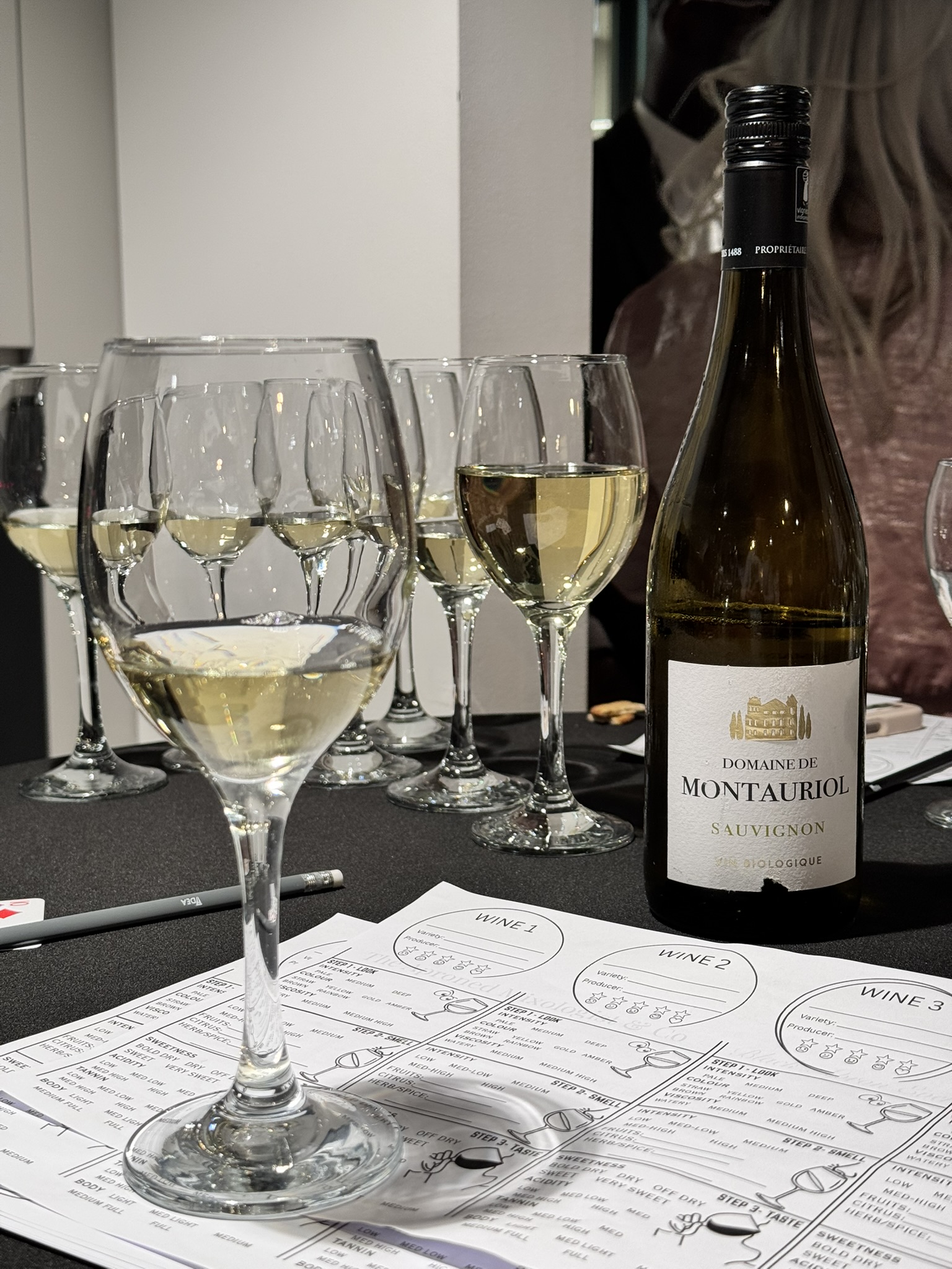 Wine Tasting Experience Guided By Certified Sommelier