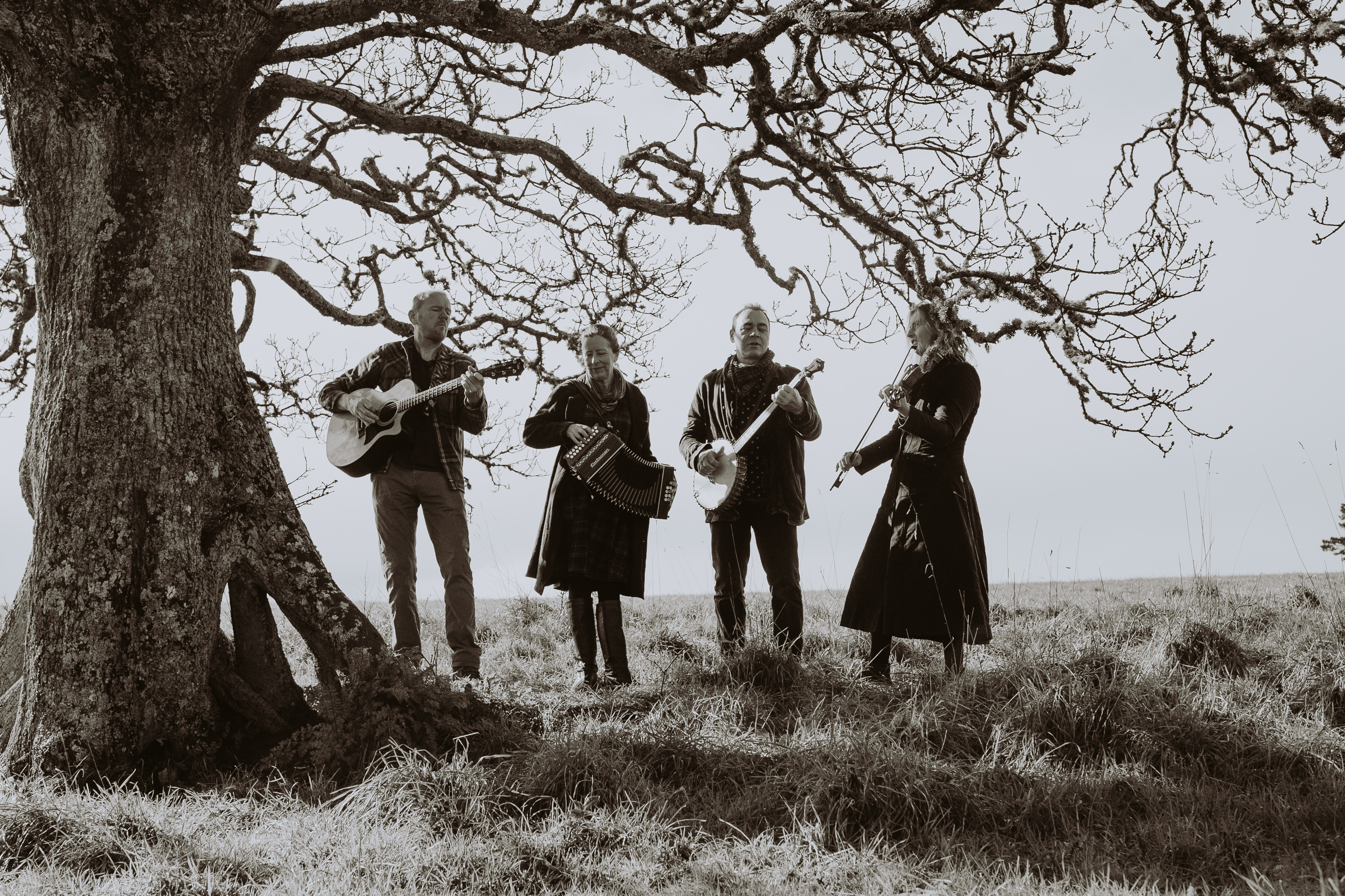 'Lafayette' is an upbeat, foot stomping Cajun Band