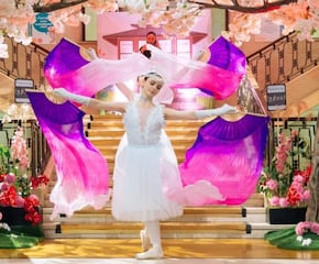 Japanese Cherry Blossom Ballet