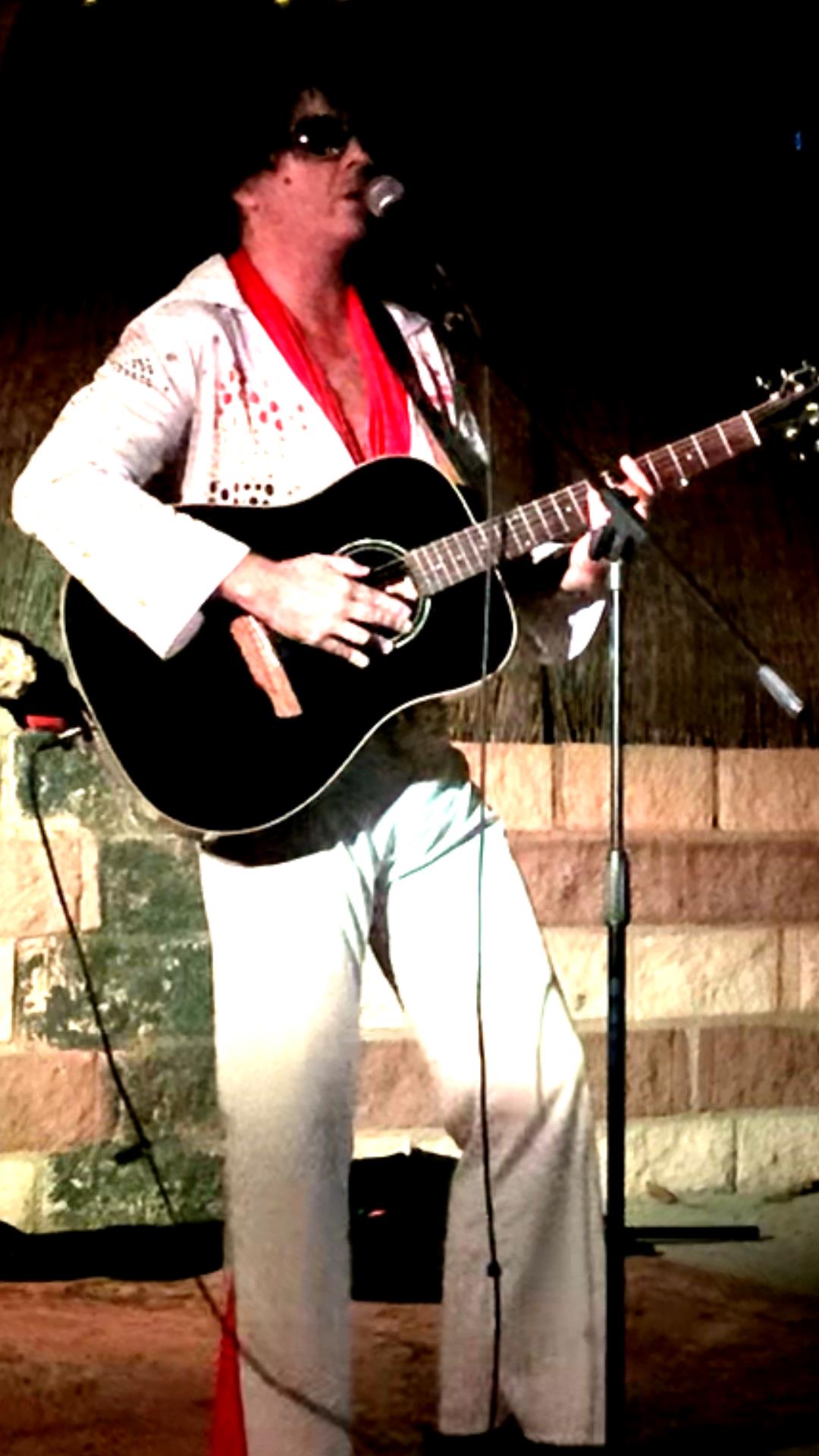 Book The King: All the Hits from Memphis to Las Vegas