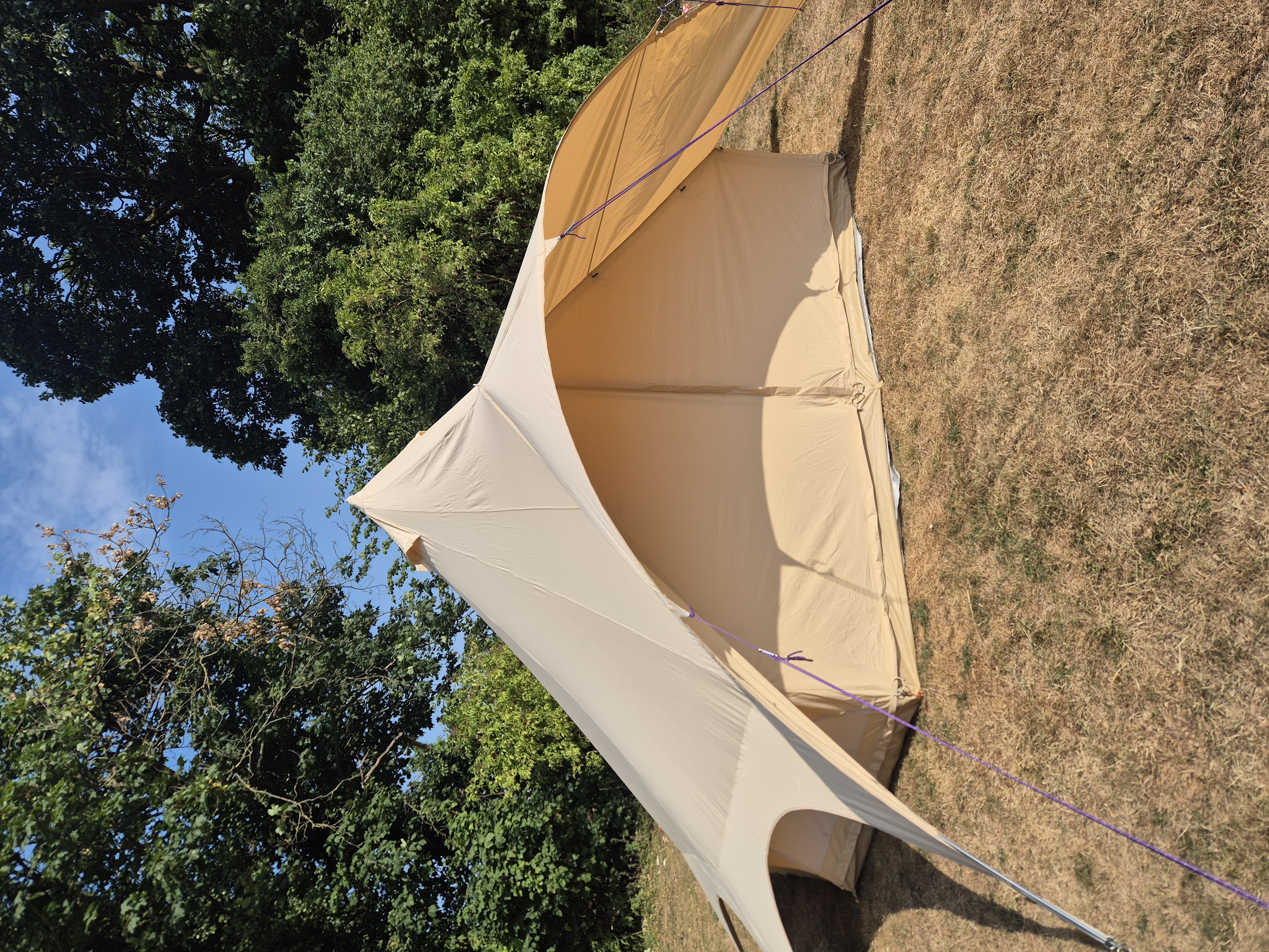 Sunlit beige bell tent with purple guy lines, pitched on dry grass amid tall trees, showing a clean, upscale glamping setup.