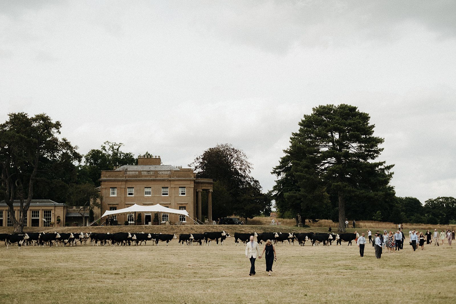 20m x 15m Luxury Stretch Tent for Unique Events