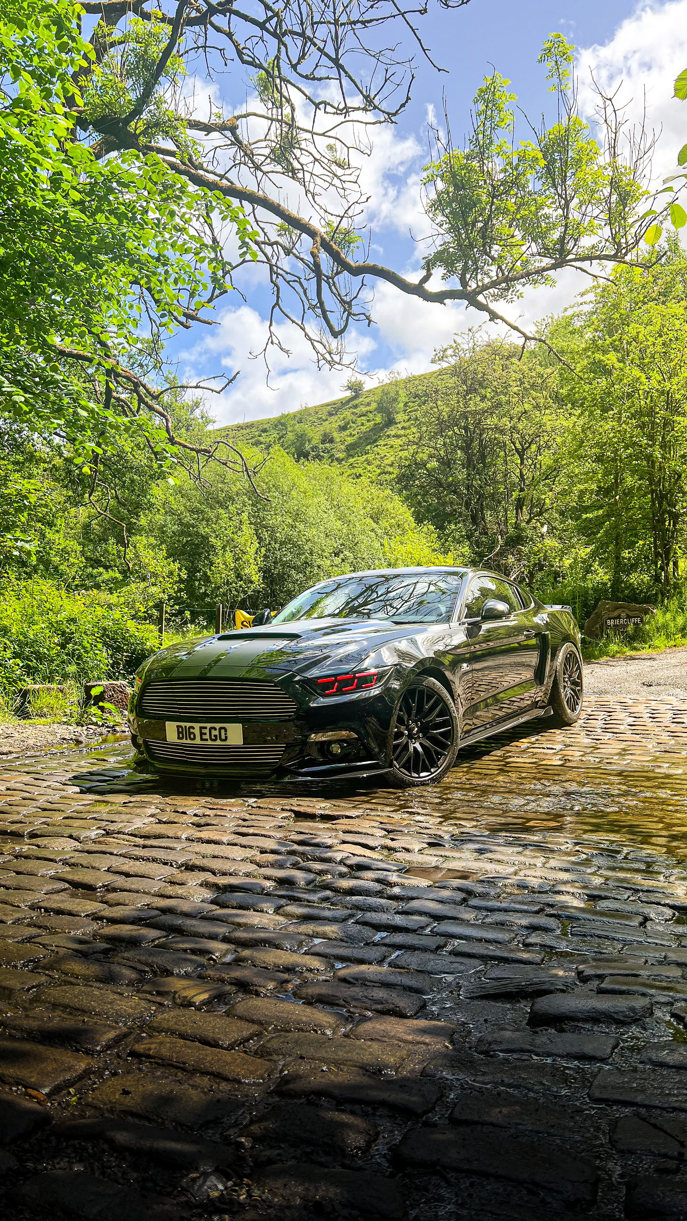 Limited Edition Mustang GT500 Roush Stage 3