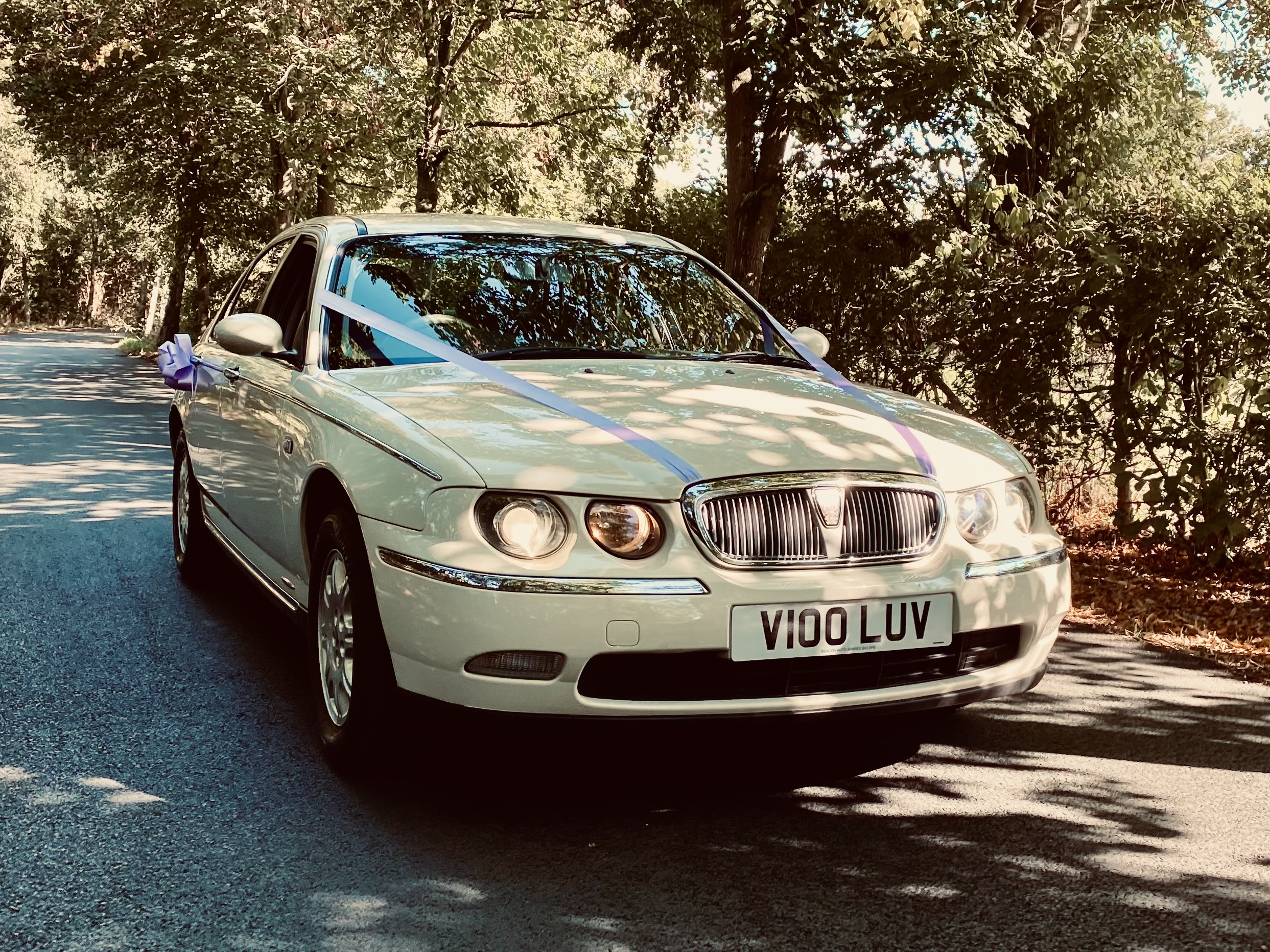 Old English White Rover 75