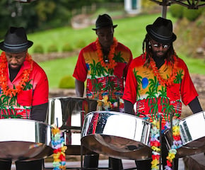Steeldrumbands - The UK's most popular steel band for a reason ❤️ 🎵