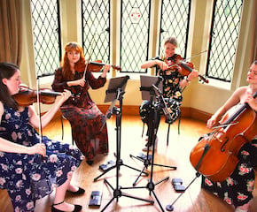 'Serenade Strings' Elevate Your event