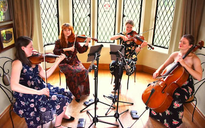 'Serenade Strings' Elevate Your event