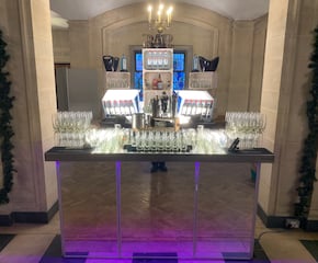 Professional Bartenders Providing an amazing cocktails