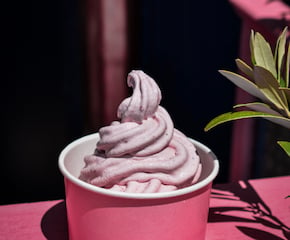 New Zealand Style Real Fruit Ice Cream