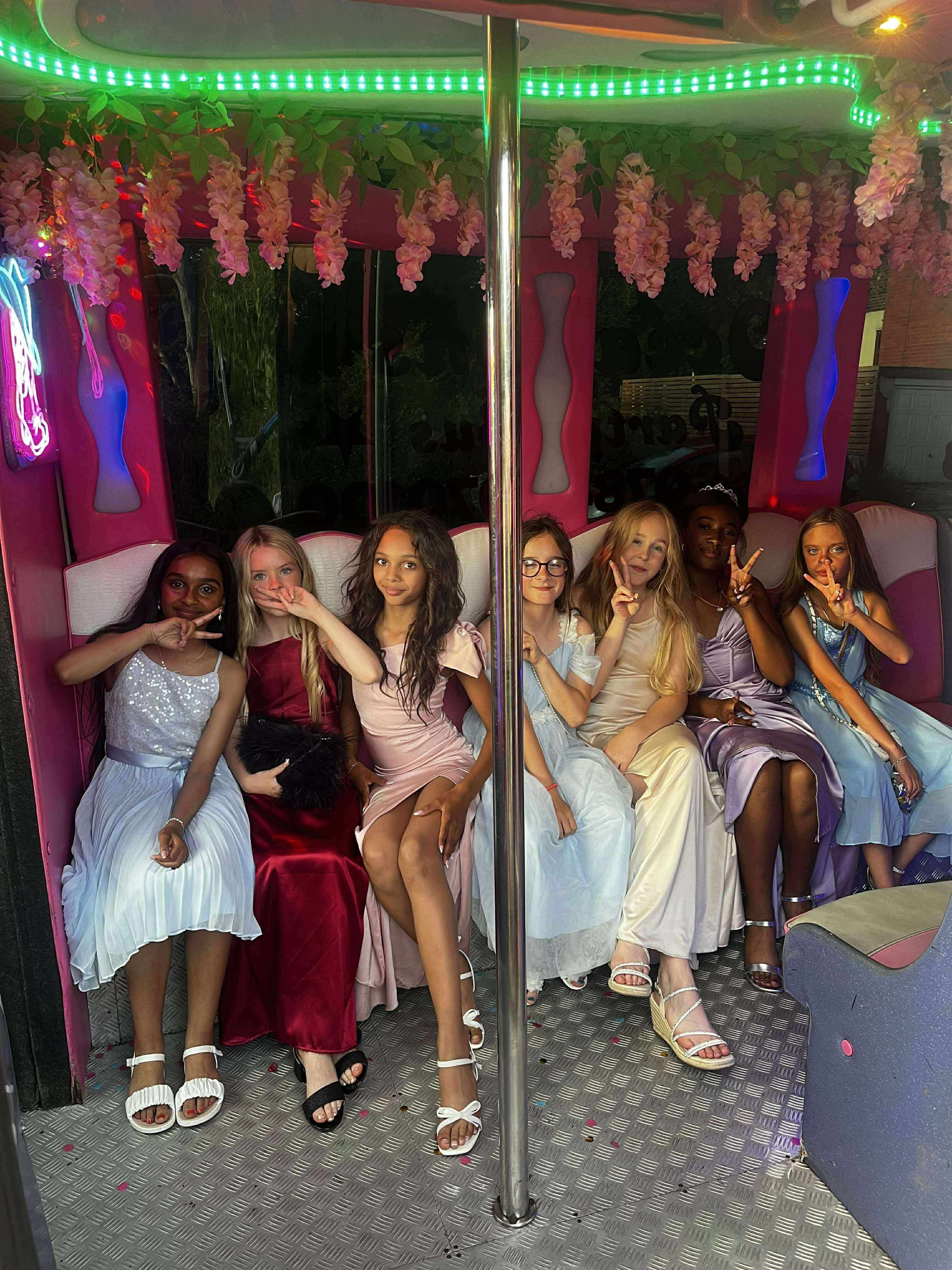 16-Seater Luxury Pink Party Bus