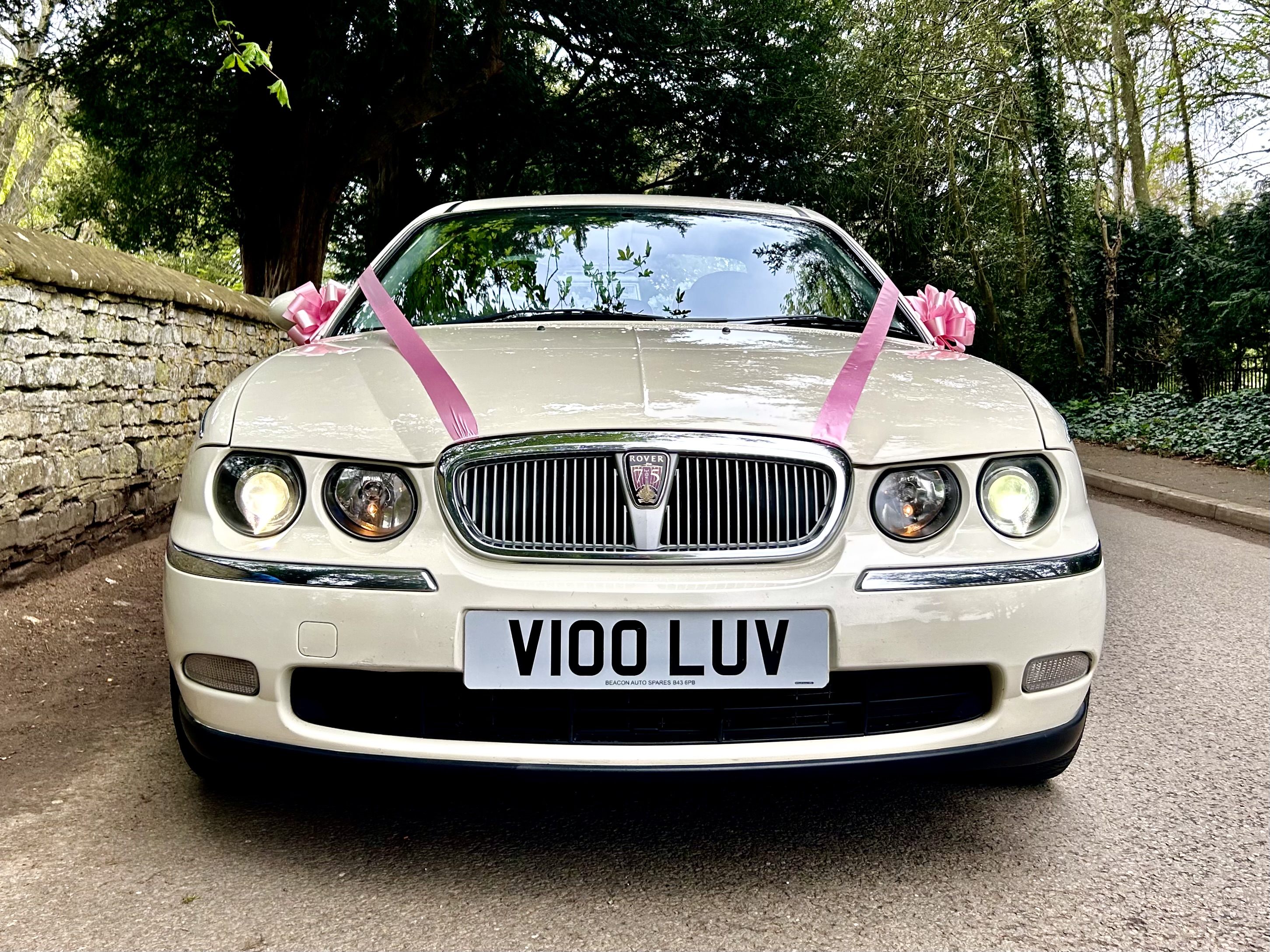 Old English White Rover 75