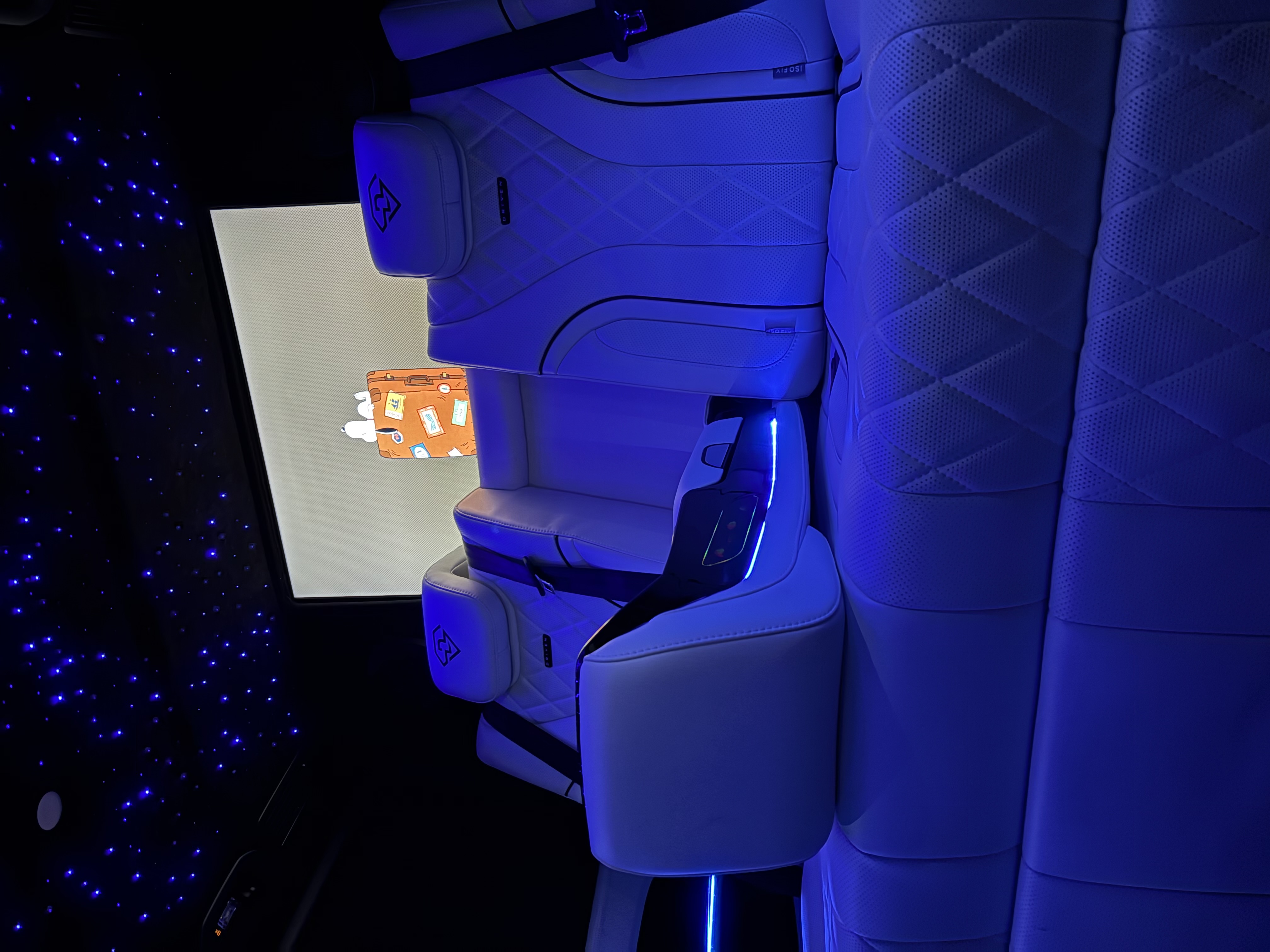 6-Seater Mercedes Benz Party Bus